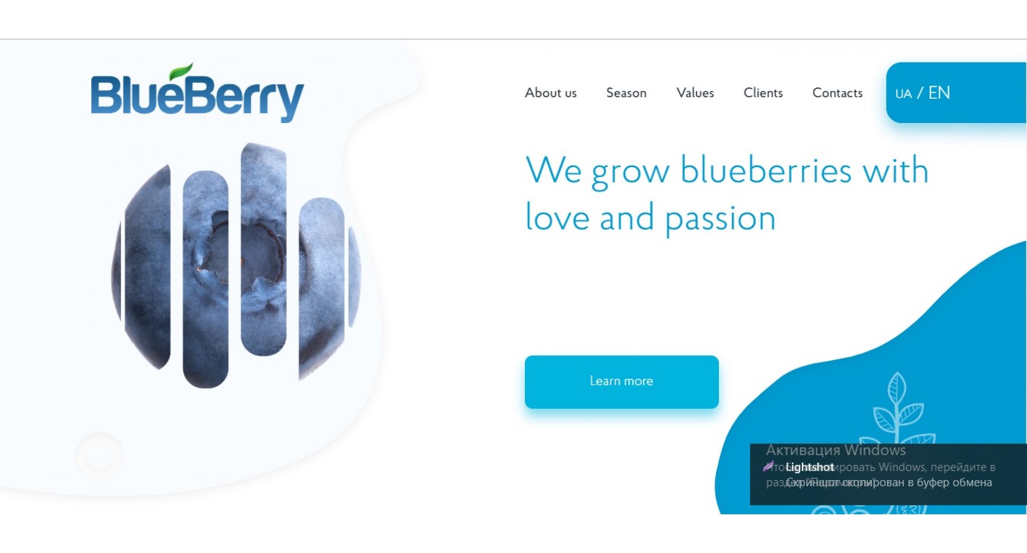 THELAB Agency