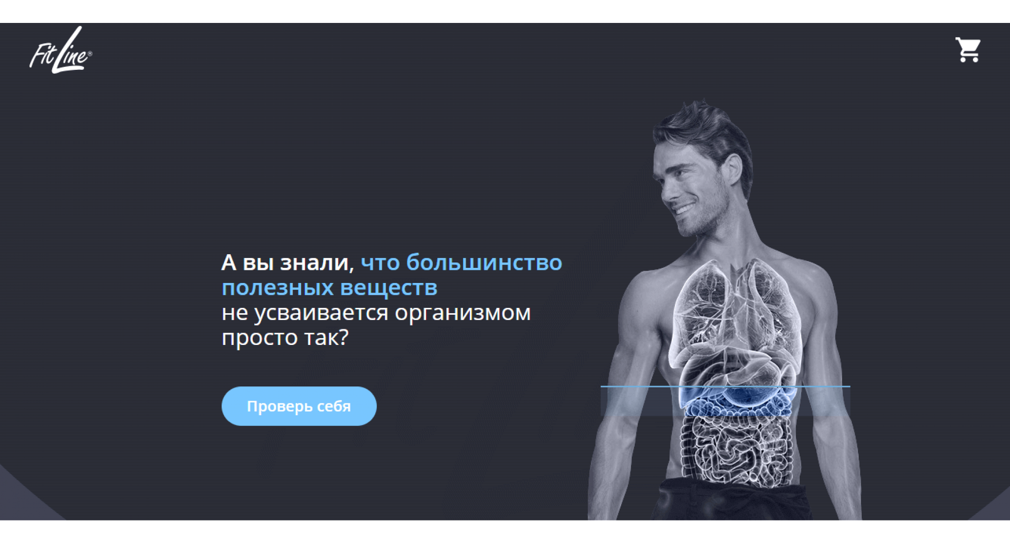 Группа компаний SEOWAVE